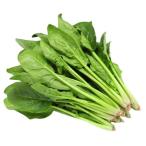 [ иметь машина засвидетельствование ] добродетель для! Ibaraki. иметь машина шпинат примерно 400gP x2 шт. комплект [ рефрижератор ]