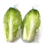 [. пестициды ] Gunma префектура север легкий. Mini китайская капуста (500g и больше ) 1 шт x2 шт. комплект [ рефрижератор ]