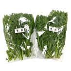 [ пестициды не использовался ] Ibaraki префектура Ono храм san. весна . примерно 150gP x2 шт. комплект [ рефрижератор ]