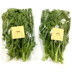 [ иметь машина засвидетельствование ] Yamanashi префектура . штук пик. иметь машина весна . примерно 140gP x2 шт. комплект [ рефрижератор ]