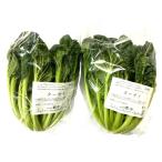 【農薬未使用】群馬県　くらぶちのターサイ（約200〜350g）1株Pｘ4 セット【冷蔵】