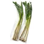 [ пестициды не использовался ] Yamanashi префектура Shimizu san. длина лук порей примерно 300gP x2 шт. комплект [ рефрижератор ]