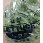 [. пестициды ] Ibaraki. lettuce 1 шт P x2 шт. комплект [ рефрижератор ]