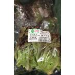 [ иметь машина засвидетельствование ] Chiba префектура san .. иметь машина Sunny lettuce 1P(1~2 штук ) x2 шт. комплект [ рефрижератор ]