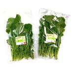 [ иметь машина засвидетельствование ] Chiba. иметь машина rukola примерно 50gP x2 шт. комплект [ рефрижератор ]