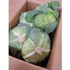 [. пестициды ] Ibaraki префектура Ono храм san. капуста 1 коробка 10 штук [ рефрижератор ]