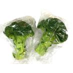 [ пестициды не использовался ] Nagasaki. брокколи 1 шт P x2 шт. комплект [ рефрижератор ]