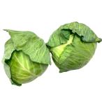 [ пестициды не использовался ] префектура Аичи производство . прекрасный. капуста 1 шт x2 шт. комплект [ рефрижератор ]