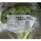 [. пестициды ] Saitama префектура производство . земля .. брокколи 1 шт P x2 шт. комплект [ рефрижератор ]