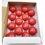 [. пестициды ] Saga. фрукты помидор примерно 1kg коробка [ рефрижератор ]