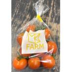 [ пестициды не использовался ] Tokushima. midi помидор примерно 250gP x2 шт. комплект [ рефрижератор ]