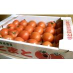 [. пестициды ] длина иметь . Nagasaki. помидор (30~35 штук ) примерно 3.5kg 1 коробка [ рефрижератор ]