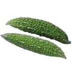 【農薬未使用】鹿児島のにがうり（ゴーヤ）1本　x2個セット【冷蔵】
