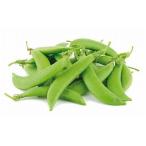 [. пестициды ] Nagasaki префектура ... зажим end u примерно 100gP x2 шт. комплект [ рефрижератор ]