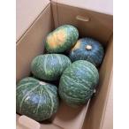 [ пестициды не использовался ] Hokkaido pokala сельское хозяйство .. тыква (4~9 штук ) примерно 10kg коробка [ рефрижератор ]