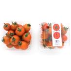 [ иметь машина засвидетельствование ] Kyoto. иметь машина мини помидоры примерно 150gP x2 шт. комплект [ рефрижератор ]