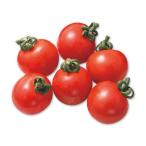 [ иметь машина засвидетельствование ] Okinawa префектура Okinawa. иметь машина мини помидоры примерно 120gP x2 шт. комплект [ рефрижератор ]