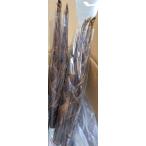 [ пестициды не использовался ] Shizuoka префектура юг . бобы. 4 person бамбук (.....)1P(2~3 шт. входит ) примерно 500g x2 шт. комплект [ рефрижератор ]