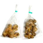 [ природа культивирование ] Nagasaki префектура ... природа культивирование новый имбирь примерно 100gP x2 шт. комплект [ рефрижератор ]