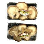 [ пестициды не использовался ] Hokkaido . дерево сырой ..(. дерево культивирование ) примерно 100gP x2 шт. комплект [ рефрижератор ]