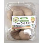 [ иметь машина засвидетельствование ] Niigata префектура иметь машина обычный .. примерно 70gP x2 шт. комплект [ рефрижератор ]