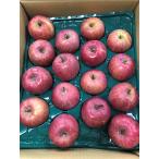 [ иметь машина засвидетельствование ] Aomori префектура яблоко . глаз san. иметь машина солнечный .. примерно 10kg коробка [ рефрижератор ]