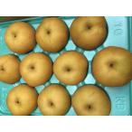 ショッピング梨 【減農薬】長野県　和梨　信州の南水（梨）（9〜18個入）約5kg箱【冷蔵】