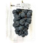 [. пестициды ] Yamanashi префектура . болото. Berry A( вид иметь виноград ) примерно 400gP x2 шт. комплект [ рефрижератор ]