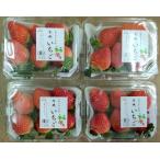 [ иметь машина засвидетельствование ] Kyoto (столичный округ) клубника Kyoto. иметь машина клубника (150g×4P)1 коробка [ рефрижератор ]