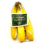 [ иметь машина засвидетельствование ]pe Roo производство органический иметь машина banana примерно 600gP x16P входить коробка [ рефрижератор ]