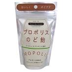 クインビーガーデン　プロポリスのど飴　40g　x2個セット