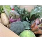 [ пестициды не использовался ]( прямая поставка ) скала мыс san. чувство сельское хозяйство овощи комплект (1 коробка примерно 10 товар )[ рефрижератор ]