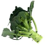 [ пестициды не использовался ]( прямая поставка ) Nagasaki. брокколи 20P входить коробка [ рефрижератор ]