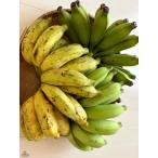 [ природа культивирование ] Okinawa. природа культивирование * желтый блестящий banana (25шт.@ передний и задний (до и после) ) примерно 2kg коробка [ рефрижератор ]