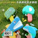  водный пистолет мужчина девочка ребенок для взрослых лето. стандартный водные развлечения морская вода . бассейн отдых высокая эффективность игрушка уличный лето праздник игрушка 