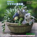 植木鉢 母の日 うさぎ ガーデニングオブジェ 鉢植え サボテン かわいい 底穴あり プランター 多肉植物 サボテン ミニ おしゃれ 可愛い ギフト
