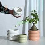 プランター 植木鉢 陶器 ドーナツ形状 セラミック 北欧 底に水抜き穴あり 置物 お洒落 玄関 部屋飾り シンプル 鉢カバー 多肉植物鉢 クリエイティブ サボテン