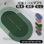 珪藻土バスマット 大判 風呂 足ふきマット 速乾 足拭きマット キッチンマット 珪藻土 滑り止め 浴室 洗面所 吸水 速乾 抗菌 滑り止め 北欧 脱衣所 吸水 ソフト