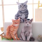  кошка мягкая игрушка Dakimakura супер настоящий кошка игрушка симпатичный Kids она ребенок .. нежный животное смешанные товары . день рождения память день подарок 50cm