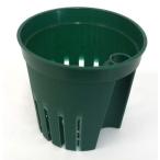 ���ƴ�ߥ˴��տ�ʪ�ѡåϥ��ɥ�������㡼 ��̺���