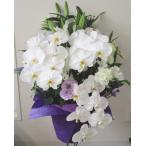 胡蝶蘭の入ったお供え花　【法要花】【お供え花】【仏花】