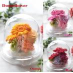 プリザーブドフラワー/オレンジガーベラドーム　誕生日　御祝い【ハロウィンにもおすすめ！】