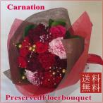 ショッピングカーネーション プリザーブドフラワー/プリザーブド/カーネーション花束（レッド）