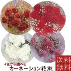 ショッピングカーネーション カーネーションとかすみそうのブーケ