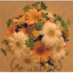  свадебный букет / гербера раунд букет 