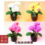 光触媒　お色が選べる　造花胡蝶蘭　ミニ
