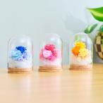 プリザーブドフラワー ケース入り 誕生日プレゼント 女性 お祝い 退職祝い 還暦祝い 母 60代 50代 40代 古希 喜寿