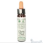 フラワーエッセンス エインズワー