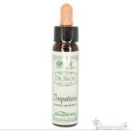 フラワーエッセンス エインズワー