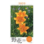  календарь 2023 Mini календарь .. цветок ( месяц .../ настольный * кольцо ) (yama Kei календарь 2023)